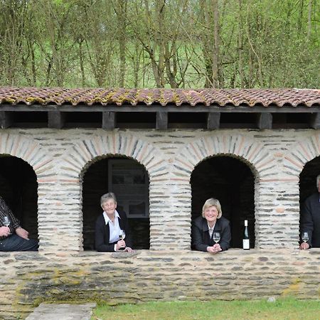 Gaestehaus Wein Im Turm Longuich Exteriér fotografie
